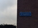 Irisplein