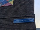 Lisbloemstraat